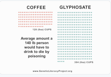 Capture d’écran, le 2019-01-30 à 13.40.23.png
