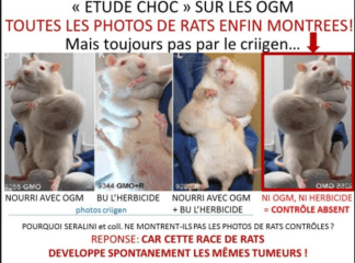 Capture d’écran, le 2019-02-06 à 15.09.12